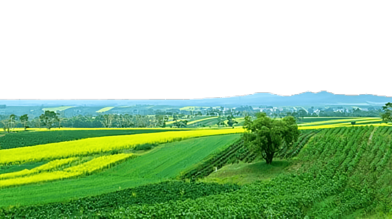 Agricultural