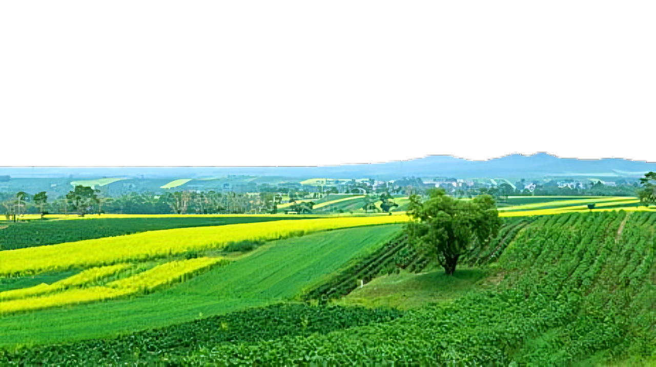 Agricultural